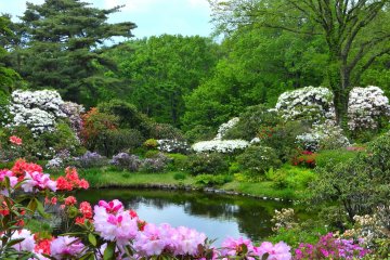 Akagi Nature Park