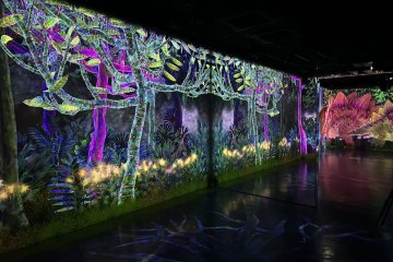 Otherworldly forests