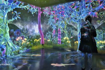 Explore the vibrant scenery