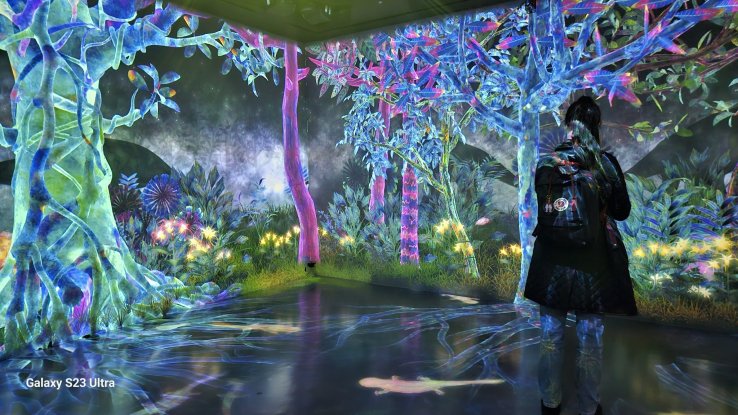 Explore the vibrant scenery