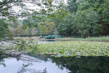 There's also a chance to go fishing at this scenic spot