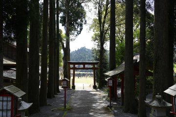 Torii of Wake-jinja