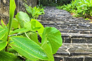 Stone Steps leading to the memorial