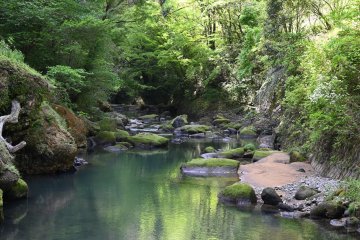 View of the river