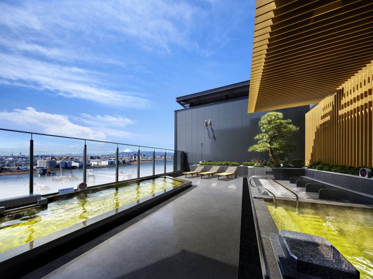 Outdoor hot springs with view of Mt. Fuji
