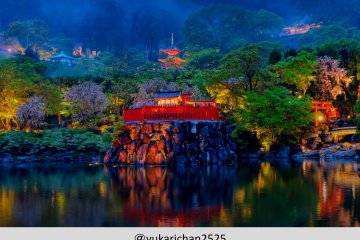 Katsuoji Fresh Green Night Illumination 2023
