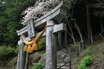 Entrance to the carving