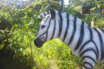 A fake zebra