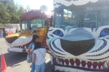 Tour buses with flaps in the side to poke meat out to the lions