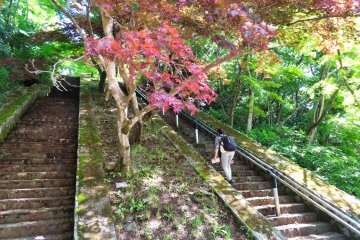 Stairway to Castle