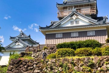 Echizen Ono Castle