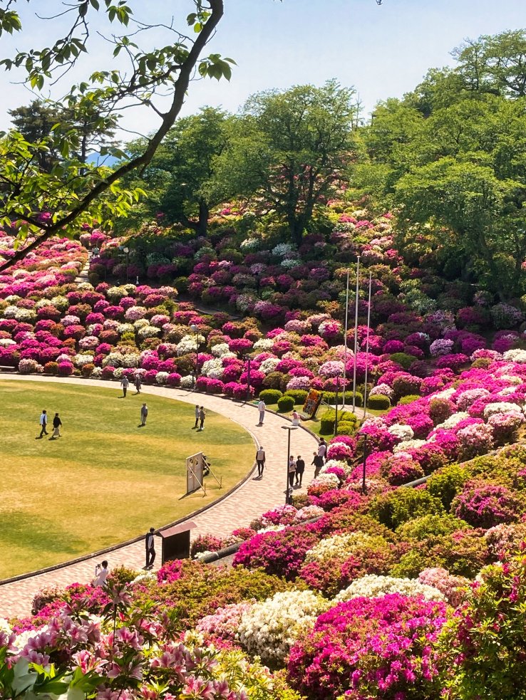 Nishiyama Park