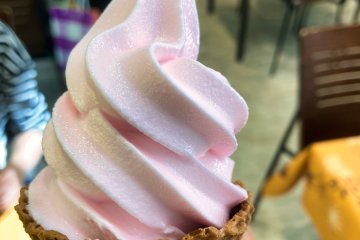 Azalea Softcream