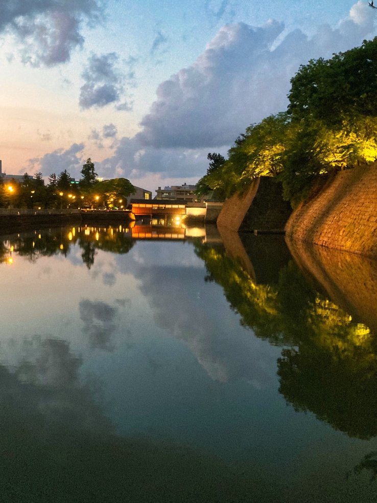 Fukui Casstle ruins at night