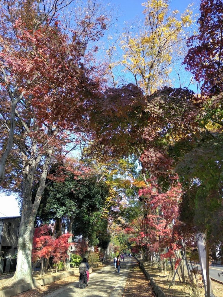 Hikawa Sando