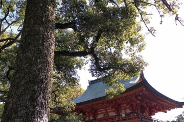 Hikawa Shrine