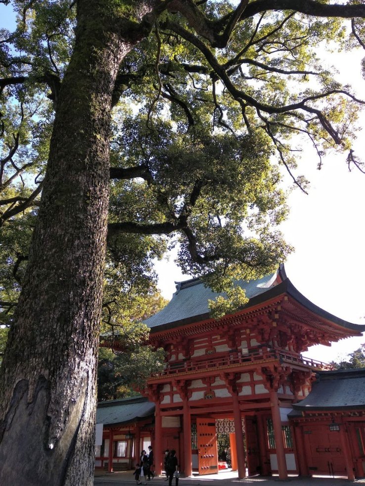 Hikawa Shrine