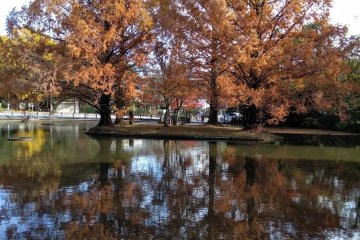 Omiya Park: Scenic Zone   