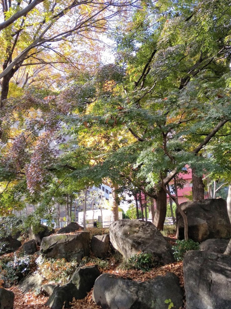 Boulders of the Sando 