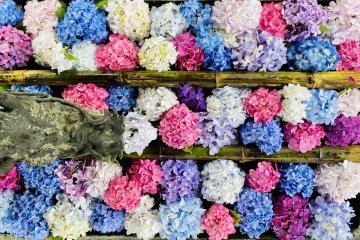 The hydrangea filled water basin is extremely aesthetic