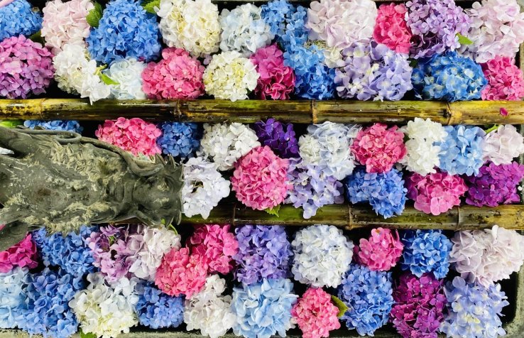 The hydrangea filled water basin is extremely aesthetic