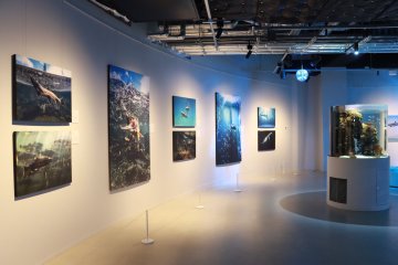 Japan's Beautiful Aquariums Exhibition 2023