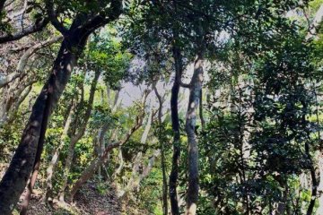 Fukuoka Day Trip: Itoshima's Genkai-Quasi National Park