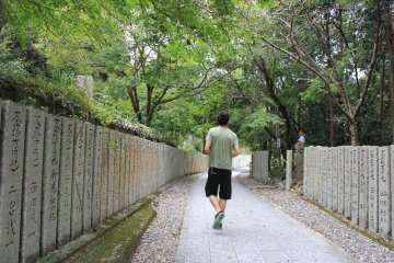 Temple Pathway