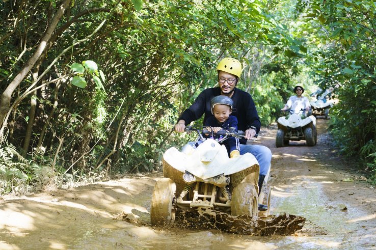 Buggy adventure