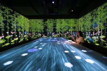 Tokyo and Niigata: Modern Vs. Traditional