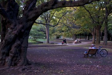 ... and people take their time to relax.