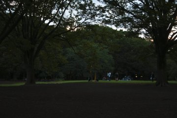 You'll often also find group of friends playing music together or practice theator plays etc.