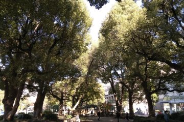 Road divider park