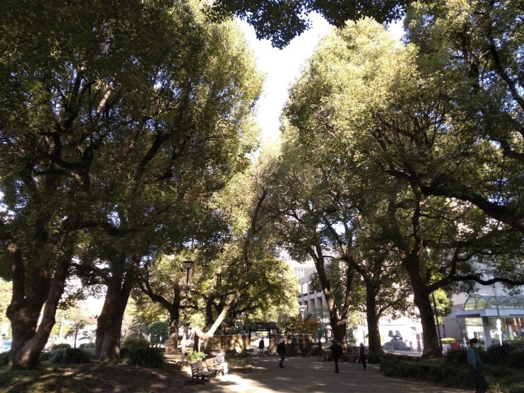 Road divider park