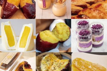 Just some of the sweet potato treats available to try at the event