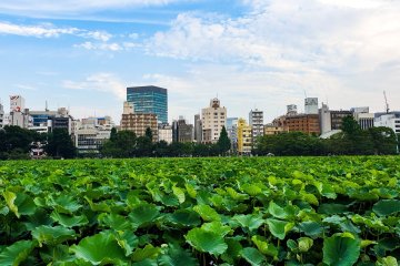 Ueno Park 150th Anniversary Event 2023