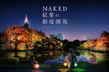 NAKED Autumn Leaves Shinjuku Gyoen 2023