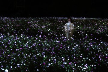 Light is Flickering, Light Floating in the Dark 2023
