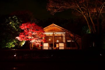 Edo-Tokyo Architectural Garden Autumn Illumination 2025