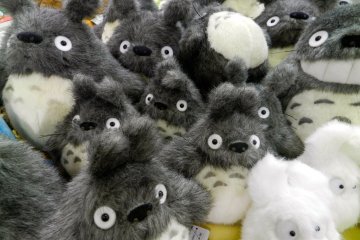 <p>A pile of Tottoro</p>
