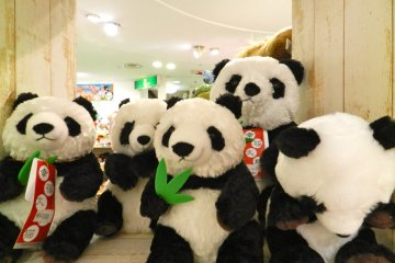 <p>Panda pals</p>