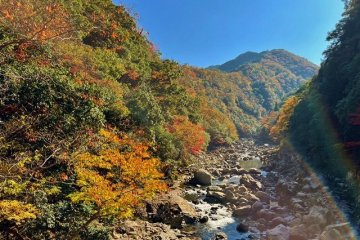 Chomonkyo