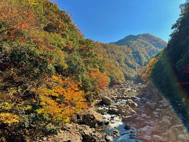 Chomonkyo