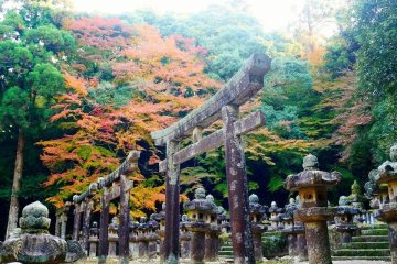 Daishoin Temple