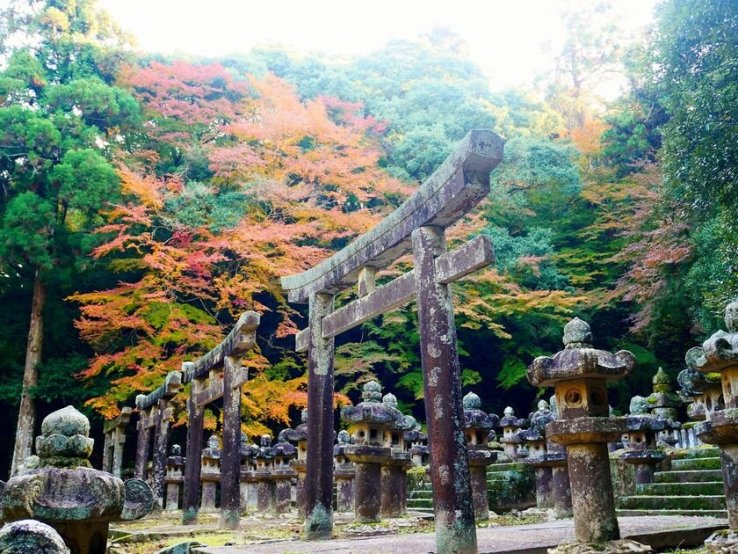 Daishoin Temple