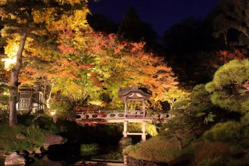 Sankeien Autumn Illumination 2025