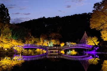 Yakushi-ike Park Autumn Illumination 2024