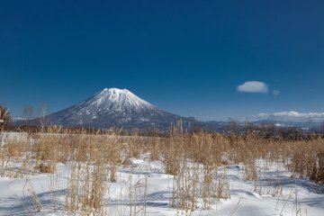 Niseko Features on 2024 Trending Destinations List