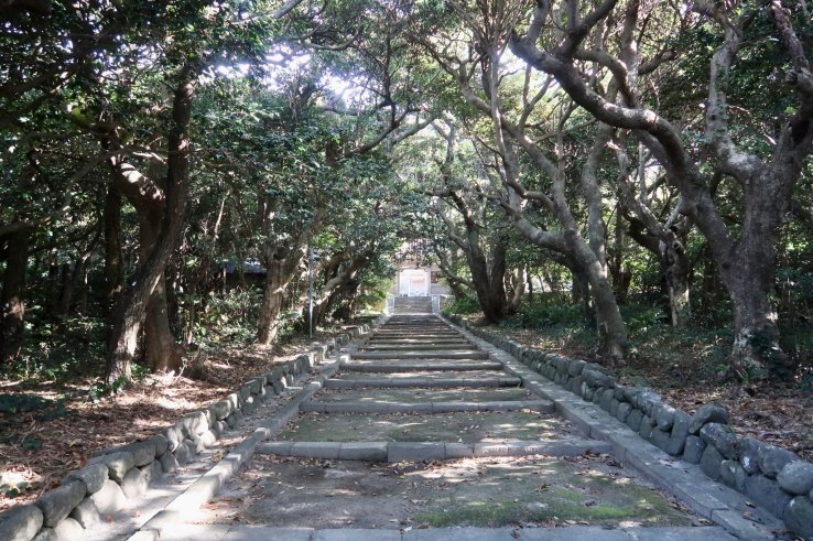 Tree-lined path