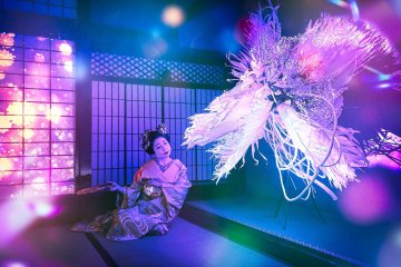 Ito Family Residence X Flower and Digital Art Festival 2023-2024